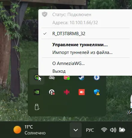 Изображение приложения в трее